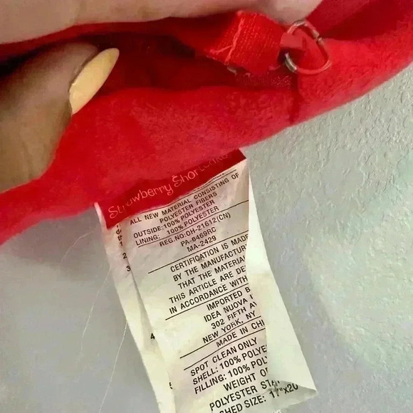 STRAWBERRY SHORTCAKE  Bag and Backpack Carrying Bag Pink Green - Picture 5 of 5